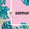samurai champloo-nujabes