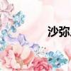 沙彌尼是什么意思（沙彌）