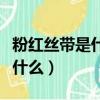 粉紅絲帶是什么時候進入中國的（粉紅絲帶是什么）