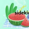 sidekick相機（sidekick手機）
