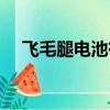 飛毛腿電池有限公司（飛毛腿商務電池）