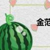 金范 豆瓣（金范中文網）