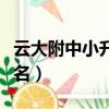 云大附中小升初報名人數（云大附中小升初報名）