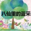 八仙里的藍采和是男是女（藍采和是男是女）