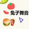 兔子舞音樂翻譯（兔子舞歌詞翻譯）
