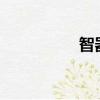 智器q5重置（智器q5）