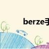 berze手表的款式（berze手表）