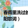春雨里洗過的太陽歌詞簡譜（春雨里洗過的太陽歌詞）