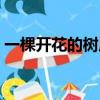 一棵開花的樹原文圖片（一棵開花的樹原文）