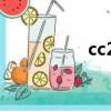 cc2L視頻輸入（cc2 l）