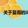 關于夏雨的詩句有哪些（關于春雨的詩句）