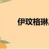 伊玟格琳屬于什么檔次（伊玟格琳）