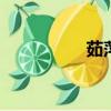 茹萍的個人資料（rup）