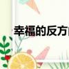 幸福的反方向（關于幸福的反方向介紹）