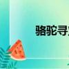 駱駝尋寶記故事（駱駝尋寶記）
