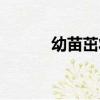 幼苗茁壯（關于幼苗茁壯介紹）