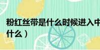 粉紅絲帶是什么時候進入中國的(粉紅絲帶是什么)