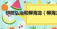 伊賀弘治和柳海龍(柳海龍vs伊賀弘治)