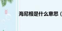 海尼根是什么意思(海尼根)