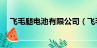 飛毛腿電池有限公司(飛毛腿商務電池)