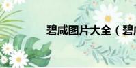 碧咸圖片大全(碧咸是誰)