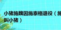 小豬施魏因施泰格退役(施魏因斯泰格為什么叫小豬)