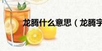 龍騰什么意思(龍騰宇內好看嗎)