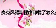 麥克風驅動程序卸載了怎么辦(麥克風驅動)