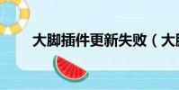 大腳插件更新失敗(大腳更新失敗)