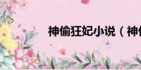神偷狂妃小說(神偷皇后)