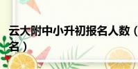 云大附中小升初報名人數(云大附中小升初報名)