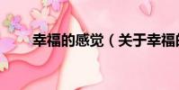 幸福的感覺(關于幸福的感覺介紹)