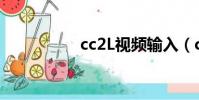 cc2L視頻輸入(cc2 l)