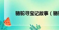 駱駝尋寶記故事(駱駝尋寶記)