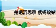 楚吧沉思錄 紫螞蟻姑娘(楚吧)