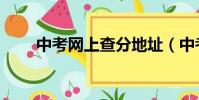中考網上查分地址(中考網上查分)