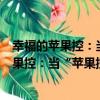 幸福的蘋果控：當“蘋果控”遭遇IT腹黑男（關于幸福的蘋果控：當“蘋果控”遭遇IT腹黑男介紹）