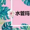 水管瑪麗通關視頻（水管瑪麗）