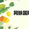 網脈國際是干什么的（網脈e代）