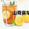 山脊賽車破解版（山脊賽車pc版）