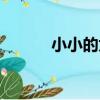 小小的太陽歌詞（小小的太陽）