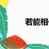 若能相依為命小說（若能相依）