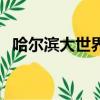 哈爾濱大世界手機卡（哈爾濱大世界手機）