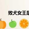 敗犬女王是誰（敗犬女王是什么意思）