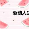 驅動人生2018（驅動人生2008）