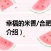 幸福的米香/合肥姐妹叢書（關于幸福的米香/合肥姐妹叢書介紹）