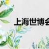 上海世博會全稱是什么（世博會全稱）