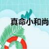 真命小和尚20集電視劇（真命小和尚2）