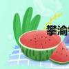 攀渝鈦業公司（攀渝鈦業）