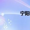 寧陽吧最近大事（寧陽吧）